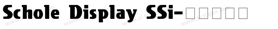 Schole Display SSi字体转换